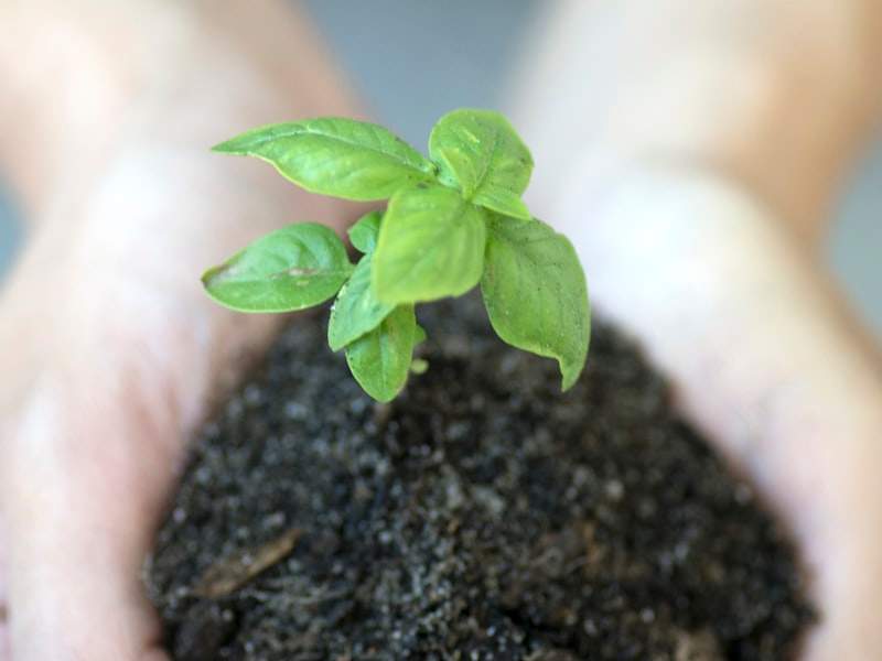 Understanding Hoarding Cleanup in Upland